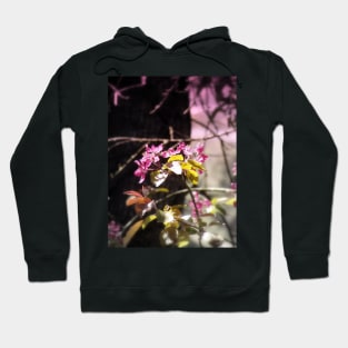 red Malus 'Radiant' crab apple blossoms #5 Hoodie